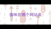 猫咪在哪个网站卖