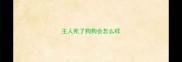 主人死了狗狗会怎么样