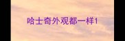 哈士奇外观都一样