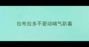 拉布拉多不爱动喘气趴着
