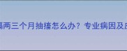 狗狗每隔两三个月抽搐怎么办专业病因及应对措施