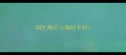 狗生两只小狗好不好