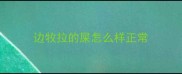 边牧拉的屎怎么样正常