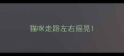 猫咪走路左右摇晃
