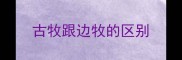 古牧跟边牧的区别