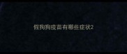 假狗狗疫苗有哪些症状
