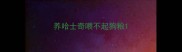 养哈士奇喂不起狗粮