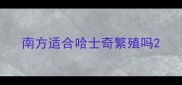 南方适合哈士奇繁殖吗