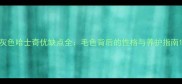 灰色哈士奇优缺点全毛色背后的性格与养护指南