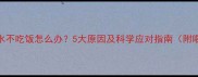 狗狗只喝水不吃饭怎么办5大原因及科学应对指南附喂食技巧
