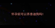 怀孕前可以养泰迪狗吗