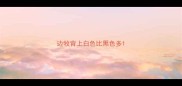 边牧背上白色比黑色多