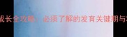 2-3月龄小狗成长全攻略必须了解的发育关键期与科学养护指南