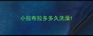 小拉布拉多多久洗澡