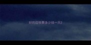 好的边牧要多少钱一只