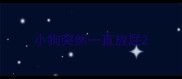 小狗突然一直放屁