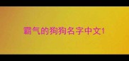 霸气的狗狗名字中文