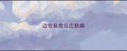 边牧最常见皮肤病