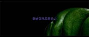 泰迪突然后腿无力