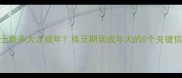 哈士奇多大才成年换牙期到成年犬的5个关键信号