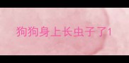 狗狗身上长虫子了