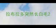 拉布拉多突然长白毛