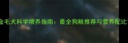 金毛犬科学喂养指南最全狗粮推荐与营养配比