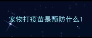 宠物打疫苗是预防什么