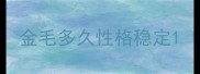 金毛多久性格稳定