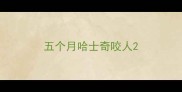 五个月哈士奇咬人