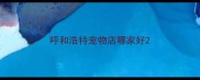 呼和浩特宠物店哪家好