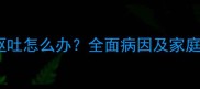 狗狗频繁呕吐怎么办全面病因及家庭护理指南