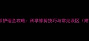 拉布拉多犬爪护理全攻略科学修剪技巧与常见误区附图解步骤
