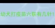 幼犬打疫苗六联有几针