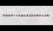 萨摩耶两个月体重标准及科学喂养全攻略