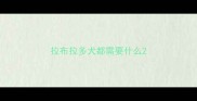 拉布拉多犬都需要什么