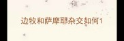 边牧和萨摩耶杂交如何