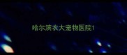 哈尔滨农大宠物医院