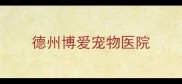 德州博爱宠物医院