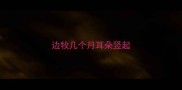 边牧几个月耳朵竖起