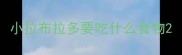小拉布拉多要吃什么食物