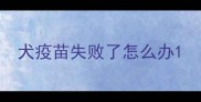 犬疫苗失败了怎么办
