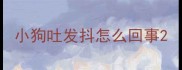 小狗吐发抖怎么回事