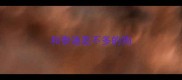 和泰迪差不多的狗