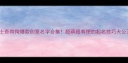 哈士奇狗狗爆款创意名字合集超萌超有梗的起名技巧大公开