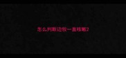 怎么判断边牧一直咳嗽