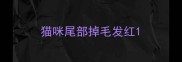 猫咪尾部掉毛发红