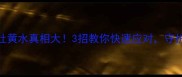 哈士奇吐黄水真相大3招教你快速应对守护毛孩健康
