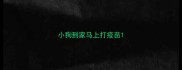 小狗到家马上打疫苗