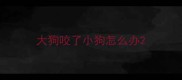 大狗咬了小狗怎么办